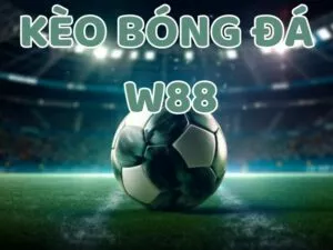 cách đọc kèo bóng đá w88