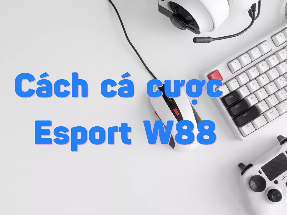 cách cá cược esport w88 đầy đủ từ a - z